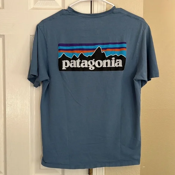 Patagonia Organic Cotton Tee - Picture 2 of 6